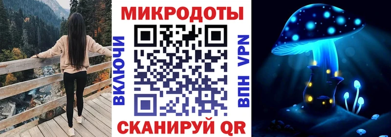 Псилоцибиновые грибы Psilocybine cubensis  Билибино 